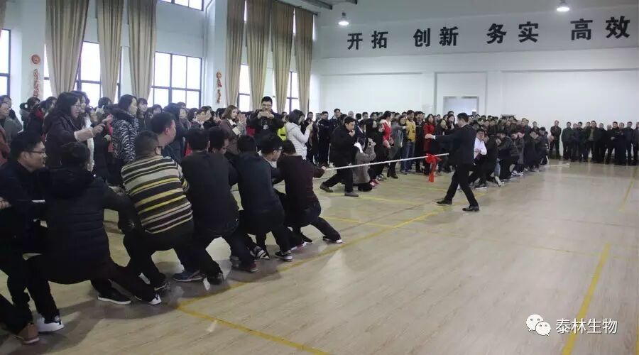 1768961560496567Gy3n.jpg 3.jpg