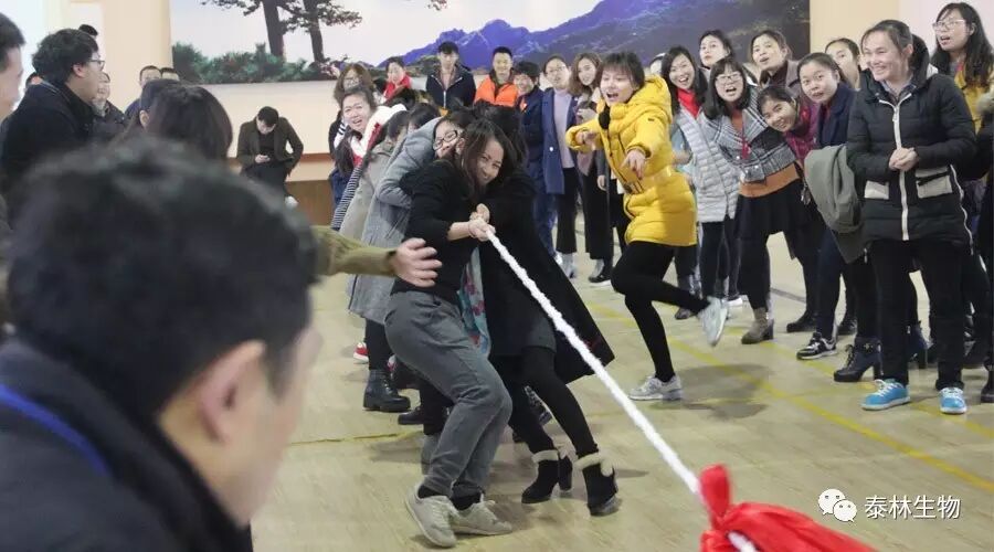 1768961567395283wa26.jpg 5.jpg